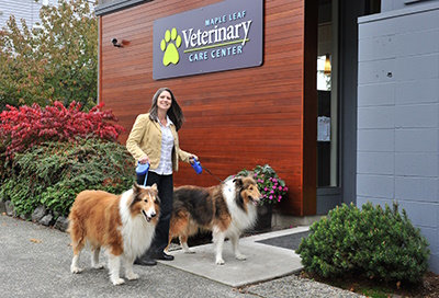 About Maple Leaf Veterinary Care Center in Seattle, WA