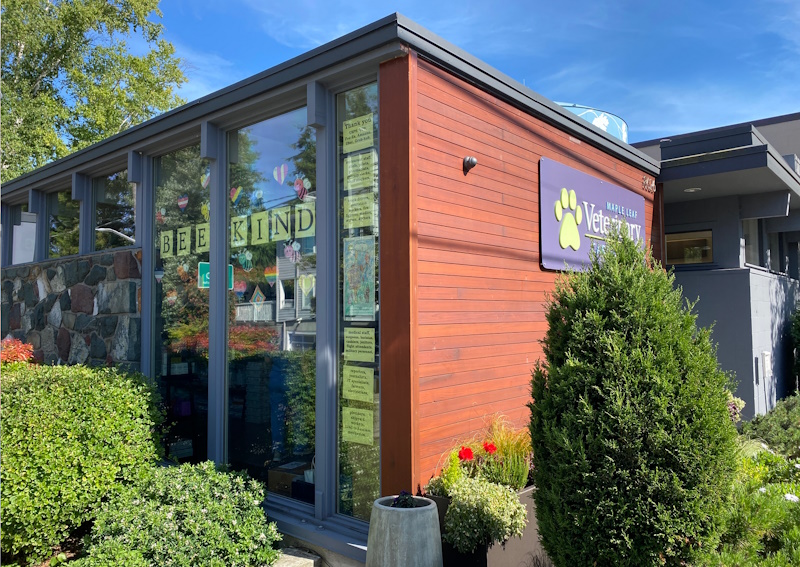 Carousel Slide 2: Learn more about Maple Leaf Veterinary Care Center!