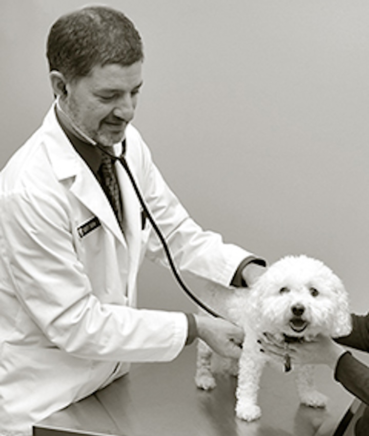 Dr. Scott Schini, DVM